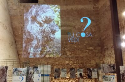 “Tu cosa vedi?”: gli ulivi di Carlo Toma in un percorso immersivo che invita ad andare oltre le apparenze - Corriere Salentino