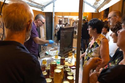 Le “Vie del Miele”, una dolce notte piena di visitatori: un successo che valorizza le radici di Melendugno - Corriere Salentino