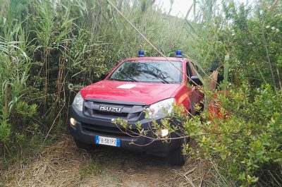 Punta della Suina brucia ancora, vasto rogo distrugge pineta: un cadavere tra le fiamme - Corriere Salentino