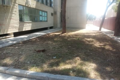 Allarme bomba in Tribunale, ma si tratta di un vecchio bossolo di mortaio inerte - Corriere Salentino