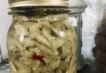 la ricetta del giorno: melanzane sott’olio Enogastronomia - Corriere Salentino