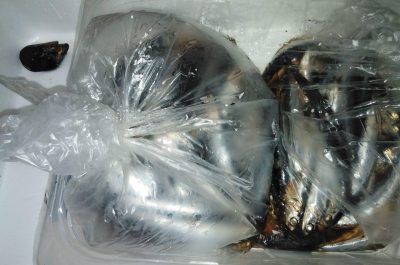 Vendeva in piazza il pesce custodito nel cofano dell'auto, scattano sequestro e denuncia - Corriere Salentino