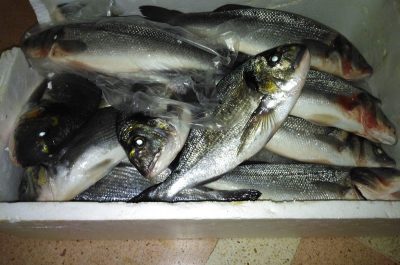 Vendeva in piazza il pesce custodito nel cofano dell'auto, scattano sequestro e denuncia - Corriere Salentino