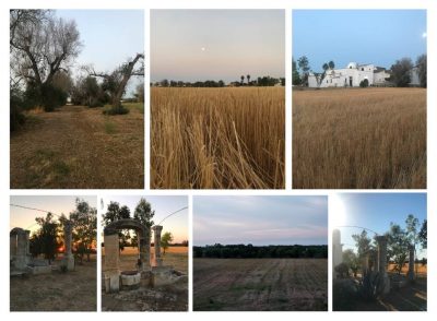 Fora de Camp, ponti e canali tra culture: al via la residenza di creazione e sperimentazione artistica - Corriere Salentino