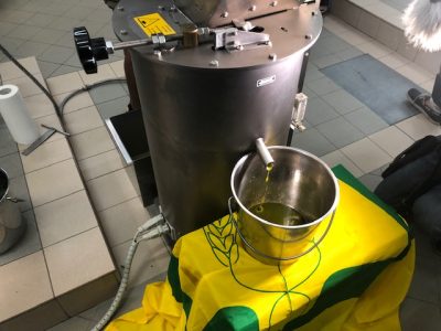 Speranza Salento, Coldiretti: ecco il primo olio da ulivi resistenti alla Xylella - Corriere Salentino