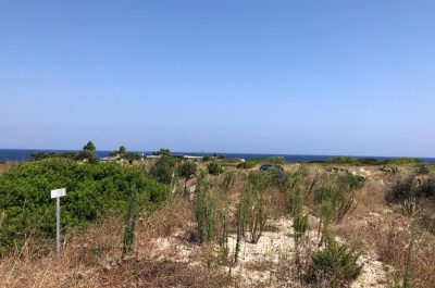 Twiga e Dolce Riva, il reportage: l’abbandono di un’intera zona dopo la guerra di esposti - Corriere Salentino