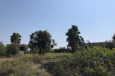 Twiga e Dolce Riva, il reportage: l’abbandono di un’intera zona dopo la guerra di esposti - Corriere Salentino