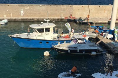 "Le meduse come cibo del futuro", gli studiosi Unisalento al lavoro - Corriere Salentino