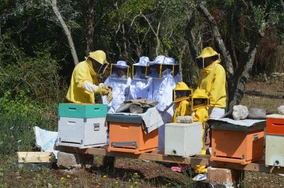 Salento-Albania: il riscatto della ruralità alla Notte Verde di Castiglione d'Otranto - Corriere Salentino