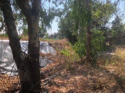 Discarica d’Aurio un anno dopo, guaina consumata, rifiuti ancora lì e abbandono - Corriere Salentino