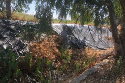 Discarica d’Aurio un anno dopo, guaina consumata, rifiuti ancora lì e abbandono - Corriere Salentino