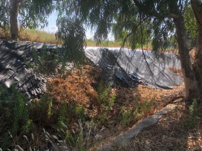 Discarica d’Aurio un anno dopo, guaina consumata, rifiuti ancora lì e abbandono - Corriere Salentino