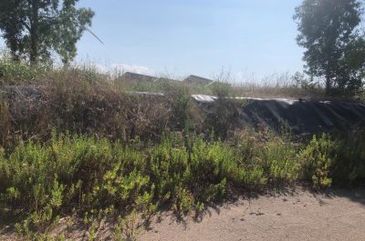 Discarica d’Aurio un anno dopo, guaina consumata, rifiuti ancora lì e abbandono - Corriere Salentino