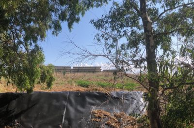 Discarica d’Aurio un anno dopo, guaina consumata, rifiuti ancora lì e abbandono - Corriere Salentino