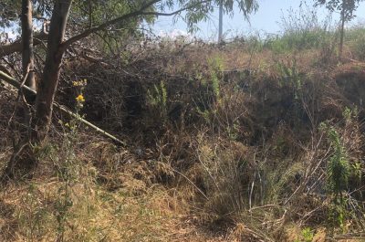 Discarica d’Aurio un anno dopo, guaina consumata, rifiuti ancora lì e abbandono - Corriere Salentino