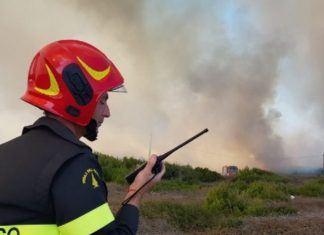 Un nuovo incendio devasta il Salento: in fiamme oltre venti ettari di macchia sul litorale ionico