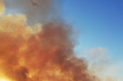 Incendio alla baia delle Orte, in fiamme ettari di macchia mediterranea - Corriere Salentino