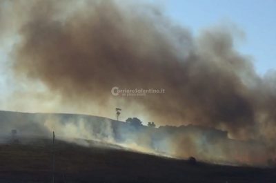 Incendio alla baia delle Orte, in fiamme ettari di macchia mediterranea - Corriere Salentino