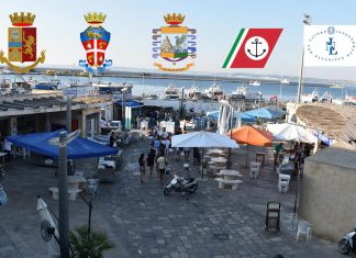 Tavolini abusivi, lavoratori in nero e mitili sequestrati, blitz al mercato ittico di Gallipoli