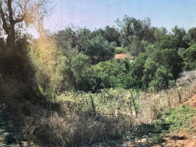 MetApulia, problemi per l’impianto tra Surbo e Lecce per i rifiuti da cucina: spicca una depressione - Corriere Salentino