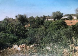 Impianto rifiuti MetApulia, domani la Conferenza dei Servizi: allarme degli attivisti