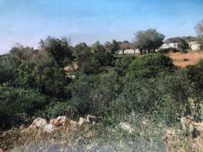 MetApulia, problemi per l’impianto tra Surbo e Lecce per i rifiuti da cucina: spicca una depressione - Corriere Salentino