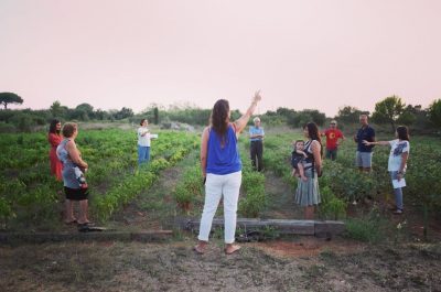 Notte Verde, domani a Castiglione d'Otranto il più grande evento in Puglia sull'ambiente - Corriere Salentino