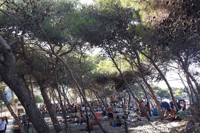 La carica dei maleducati: rifiuti abbandonati, palle che colpiscono donne incinte e occupazioni abusive - Corriere Salentino