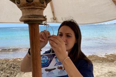 Porto Cesareo, tovaglie e portacicche per aiutare l’ambiente - Corriere Salentino