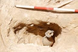 La terra restituisce pezzi di storia: scoperti ad Ugento reperti dell'età romano-repubblicana - Corriere Salentino