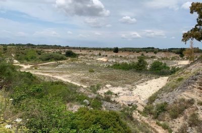 La discarica fantasma a due passi da Lecce che tutti ignorano: un camion scarica periodicamente e poi brucia - Corriere Salentino