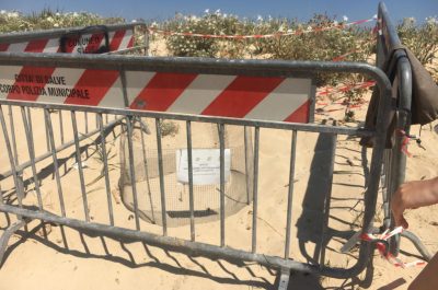 A Pescoluse si attende la nascita di più di 100 Caretta Caretta - Corriere Salentino