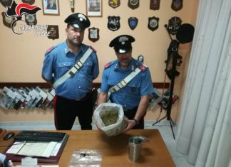 Marijuana e semi di canapa in casa: scatta l’arresto per un 41enne