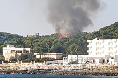Divampa rogo nella pineta, fiamme alte oltre 10 metri: paura per i residenti - Corriere Salentino