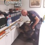 Oltre un chilo di cocaina tra Lecce e Monteroni, spunta anche una pistola: tre arresti - Corriere Salentino