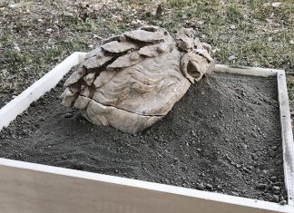 Scoperta parte di una testa marmorea di Ottaviano Augusto: nuovo ritrovamento degli archeologi Unisalento