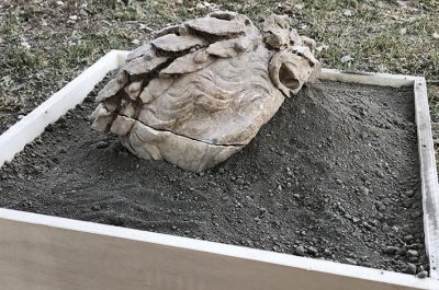 Scoperta parte di una testa marmorea di Ottaviano Augusto: nuovo ritrovamento degli archeologi Unisalento - Corriere Salentino