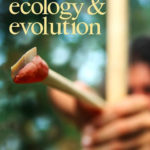 “Le armi che consentirono ai Sapiens di diffondersi“, ennesima scoperta dagli “strati” di Grotta del Cavallo - Corriere Salentino