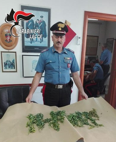 Alla guida con alcol e droga nel sangue: pioggia di denunce e strage di patenti in tutto il Salento - Corriere Salentino