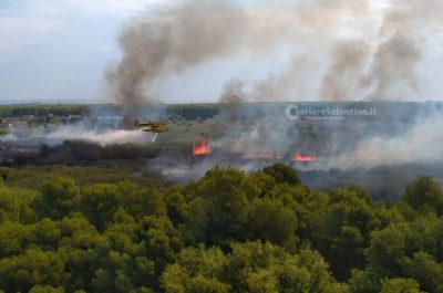 Divampa un incendio sul litorale di Gallipoli, in arrivo anche un Canadair - Corriere Salentino