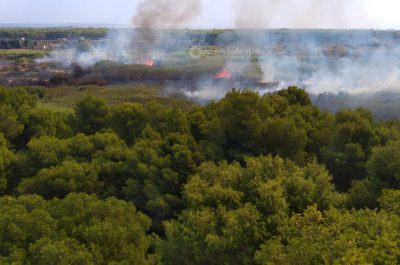 Divampa un incendio sul litorale di Gallipoli, in arrivo anche un Canadair - Corriere Salentino
