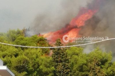Divampa rogo nella pineta, fiamme alte oltre 10 metri: paura per i residenti - Corriere Salentino