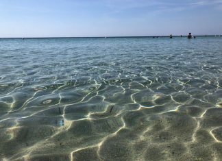 Recinto abusivo e sbancamento delle dune, ancora denunce e sequestri in località “Belvedere”