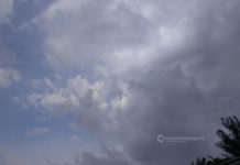 Ambiente - Corriere Salentino