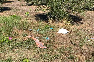 Travolto in bici da un'auto in corsa: turista 57enne muore in ospedale - Corriere Salentino