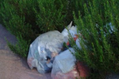 Andrea Guido: "Piste ciclabili in stato di abbandono" - Corriere Salentino