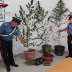 "First Cold", raffiche di arresti e denunce in tutto il Salento: ritirate oltre 20 patenti - Corriere Salentino