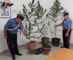 "First Cold", raffiche di arresti e denunce in tutto il Salento: ritirate oltre 20 patenti - Corriere Salentino