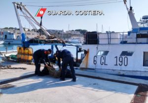 Pesca illegale, controlli tra terra e mare dallo Ionio all'Adriatico: sequestri e multe - Corriere Salentino