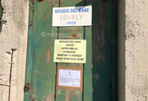 Sigilli al canile Lovely dopo un braccio di ferro col Comune di Lecce - Corriere Salentino